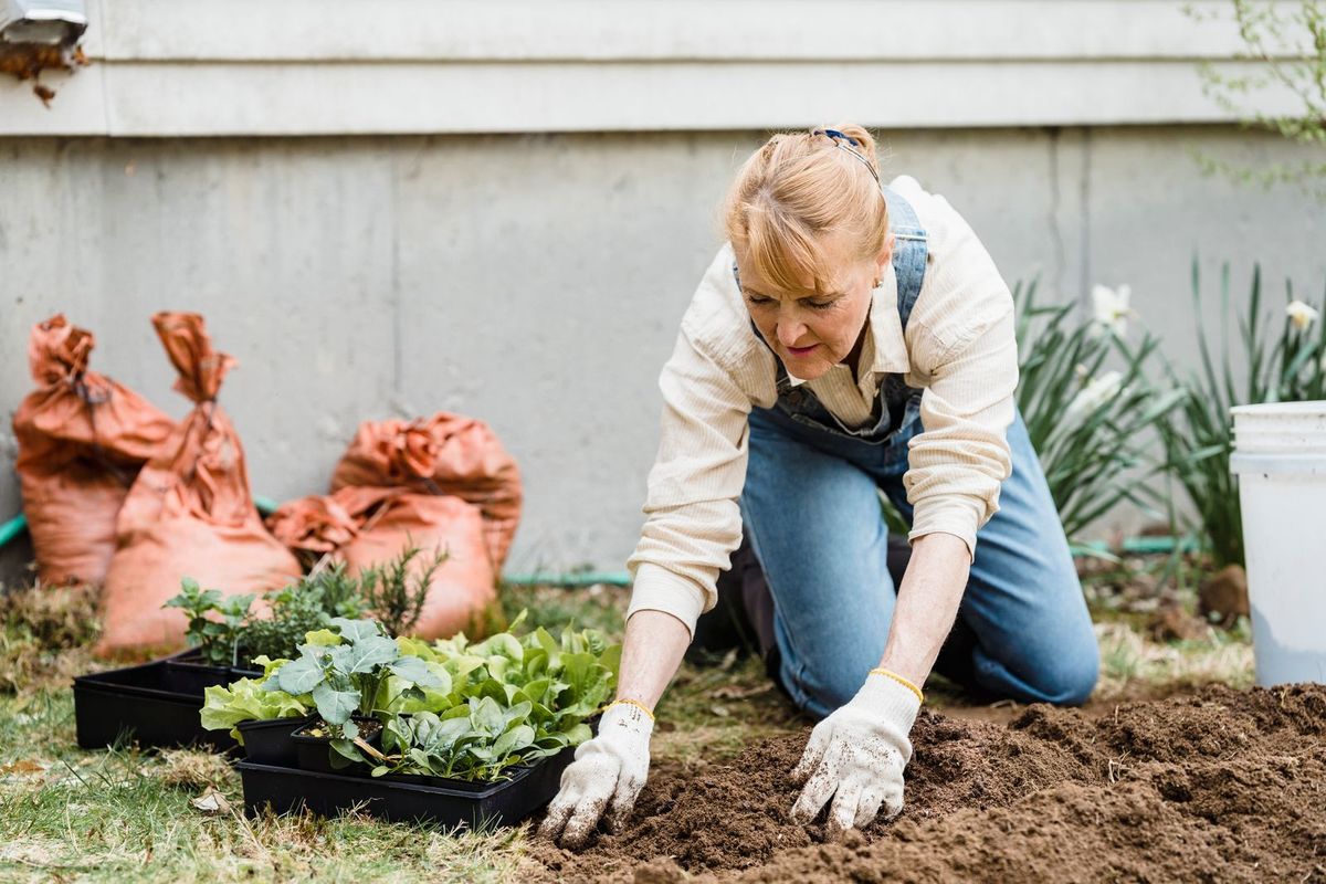 Garden kneeler & seat — gift idea for retirees