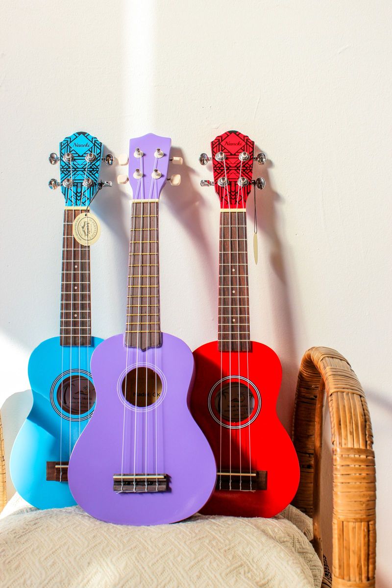 "learn the ukulele" starter kit — gift idea for retirees