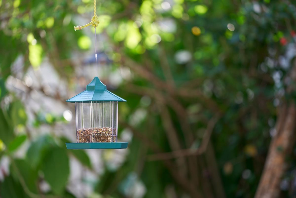 Smart bird feeder — gift idea for retirees