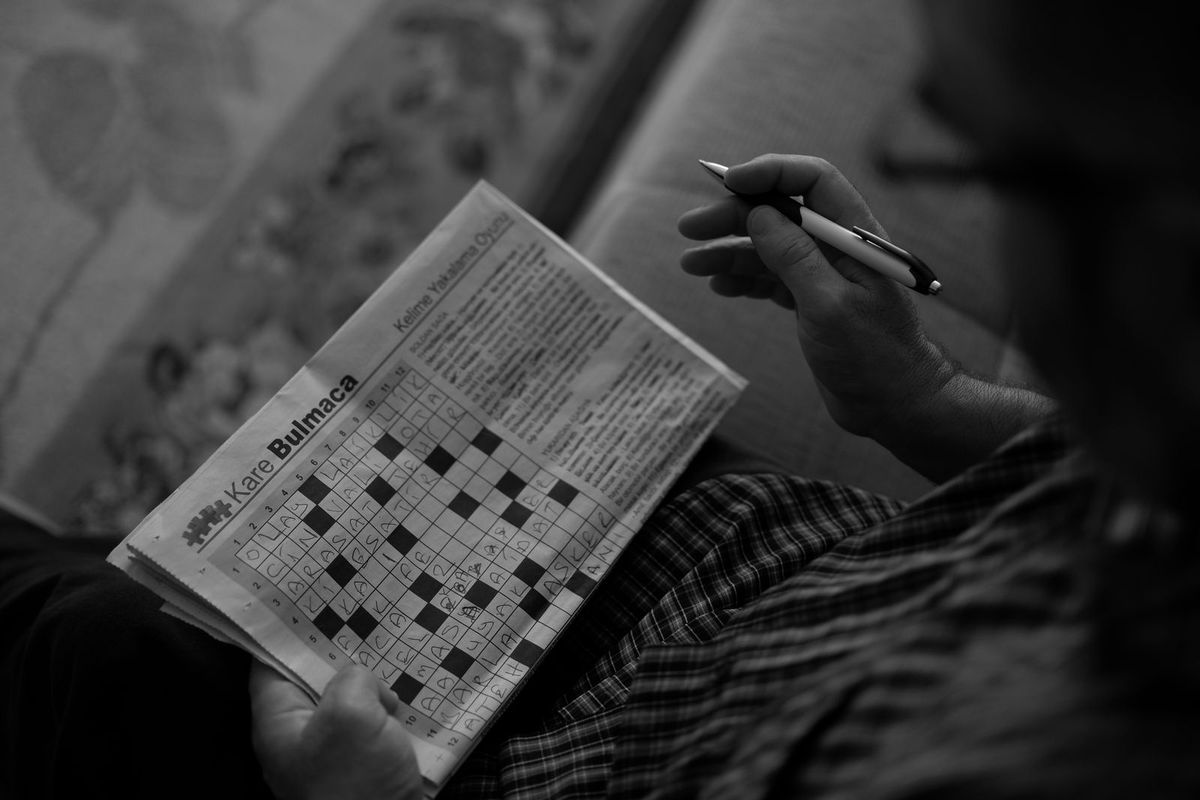Large-print word search puzzle book — brain game for seniors